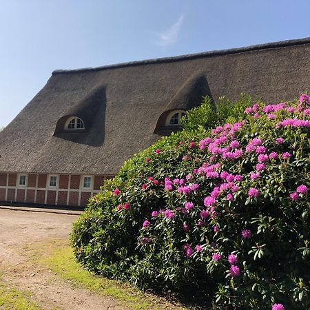 Ferienwohnungen Unter Den Eichen Stade Bagian luar foto