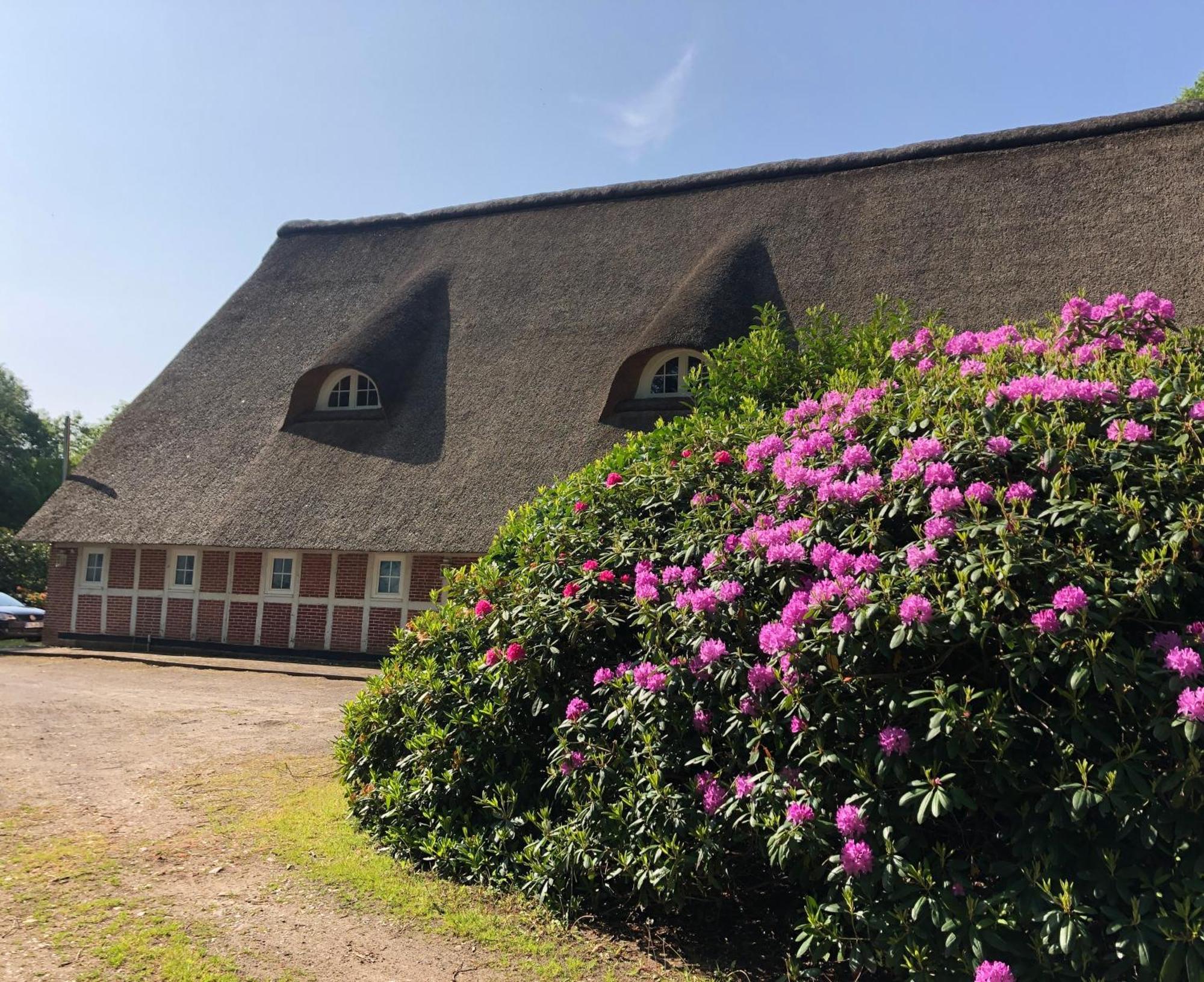 Ferienwohnungen Unter Den Eichen Stade Bagian luar foto
